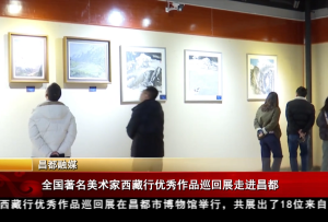 全国著名美术家西藏行优秀作品巡回展走进昌都