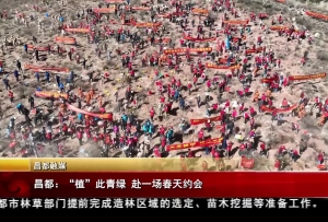 昌都：“植”此青绿 赴一场春天约会