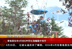 香格里拉市4月份CPI环比涨幅稳中有升