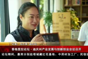 香格里拉论坛·迪庆州产业发展与创新创业会议召开