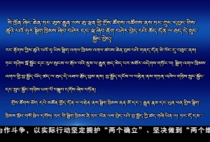 四川省委召开常委会 坚决拥护党中央对崔保华进行纪律审查和监察调查的决定