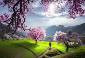 【世界环境日】减少塑料污染，以行动守护“桃映山河・碧水长流” 的绿色家园