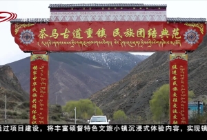 昌都洛隆：文旅融合讓高原小鎮煥發新活力