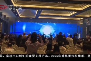 迪慶州舉行2025年香格里拉松茸季系列活動新聞發(fā)布會