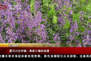 夏日川主寺鎮(zhèn)：高原小鎮(zhèn)的浪漫