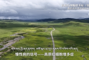 高原病红细胞（第二集）