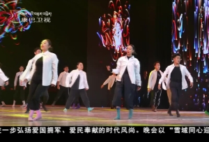 玉树州举行元旦双拥文艺晚会