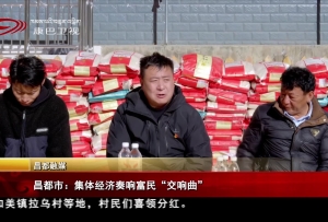 昌都市：集体经济奏响富民“交响曲”