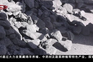 阿坝州若尔盖：十年坚守暖民心