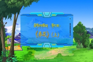 养花 上（18.05.14）