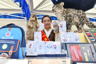 Cultural and creative products fair held in Tibet Museum