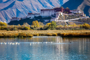 Scenery of Lhalu wetland in Lhasa, Tibet (II)