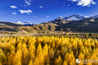 Stunning late autumn scenery in China's Garze Tibetan Autonomous Prefecture (II)