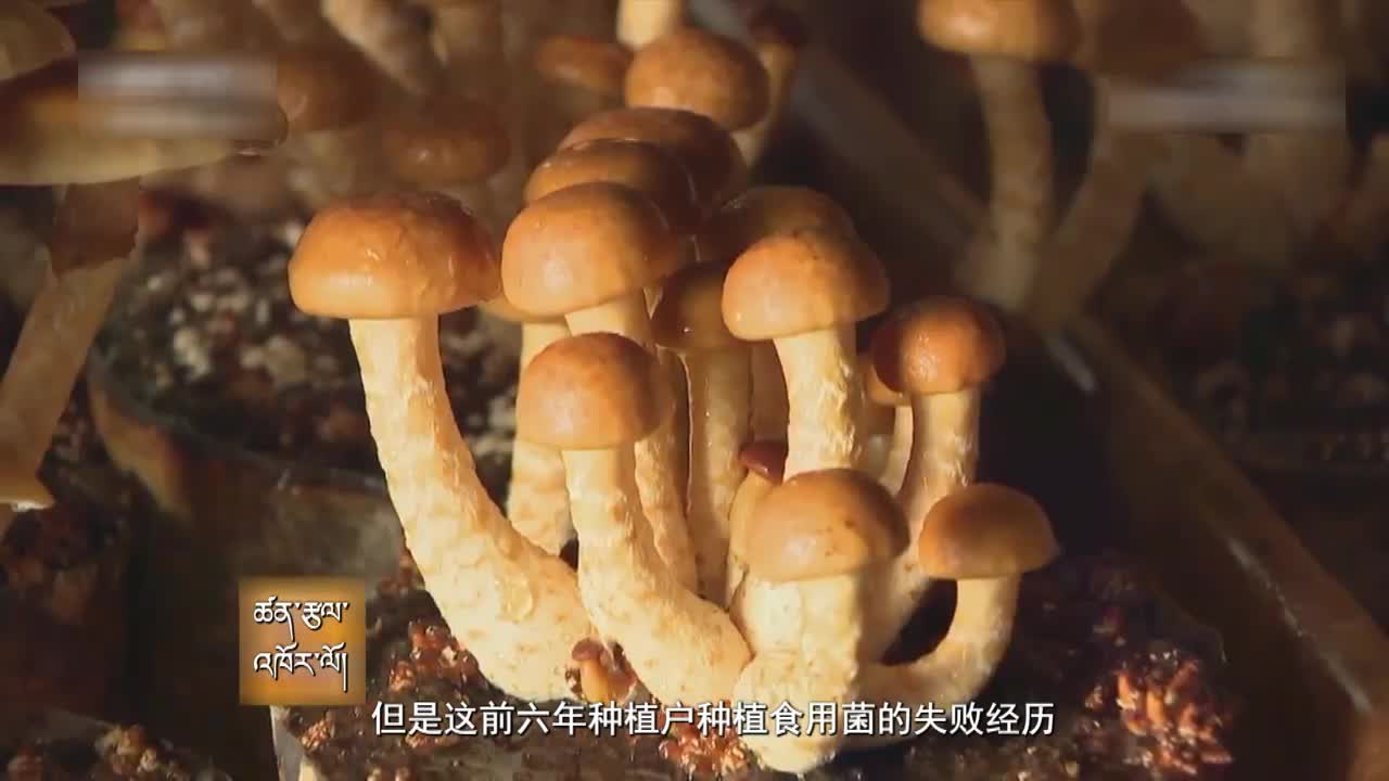 云丹科普苑（19.03.20）