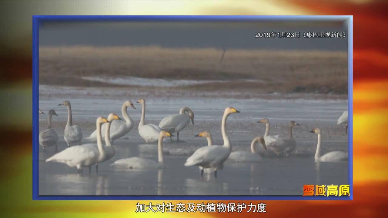 雪域高原（03.03）