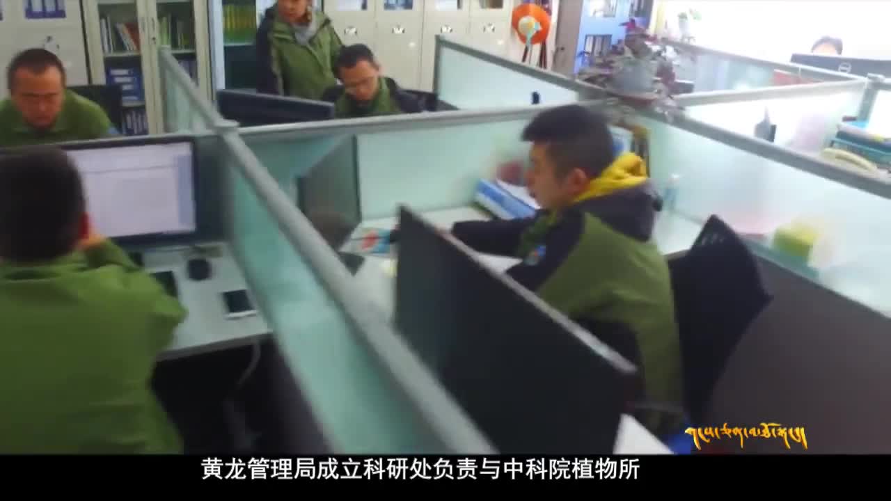 雪域高原：黃龍 以引智引技促進生態保護與旅游發展深度融合（03.10）