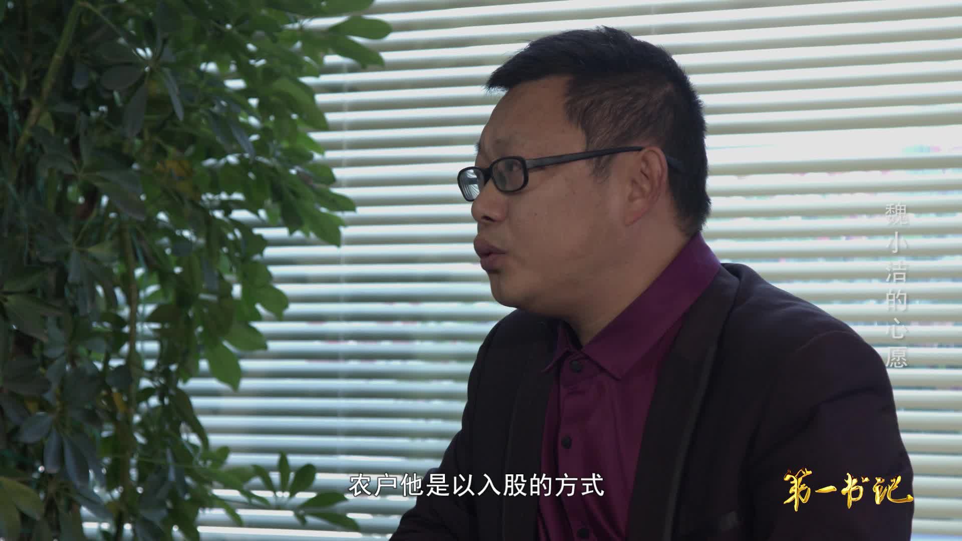 第一書記《魏小潔的心愿》