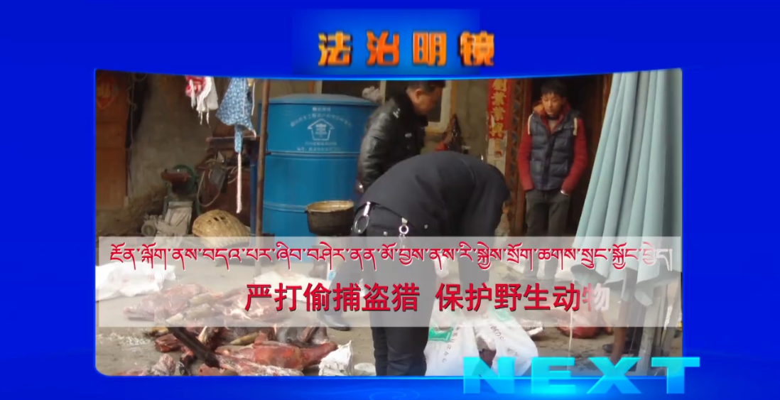 嚴打偷捕盜獵 保護野生動物（02.21）