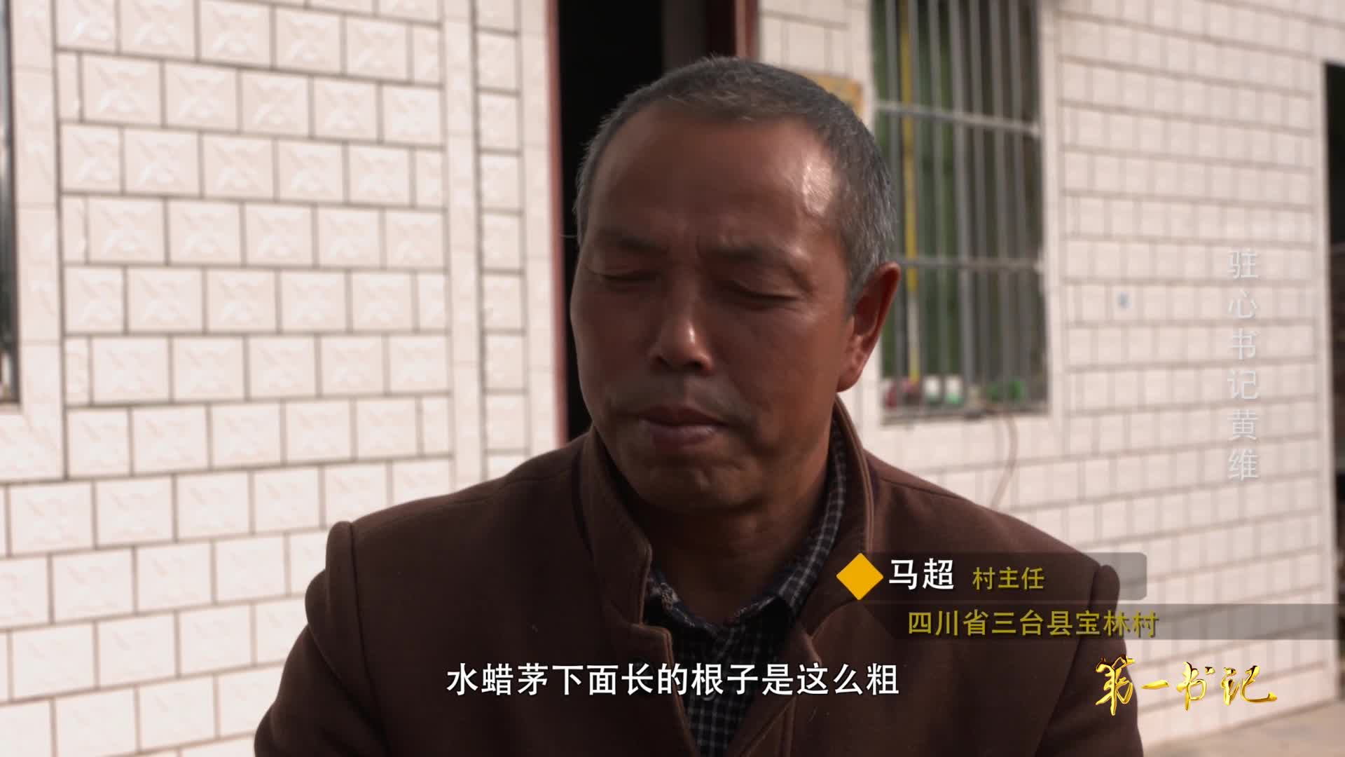 第一書記《駐心書記黃維》