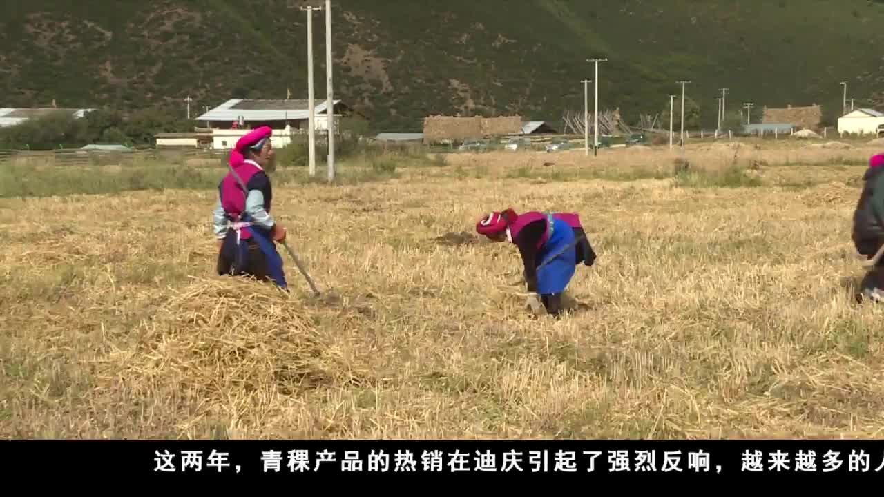 康巴卫视新闻（19.04.07）