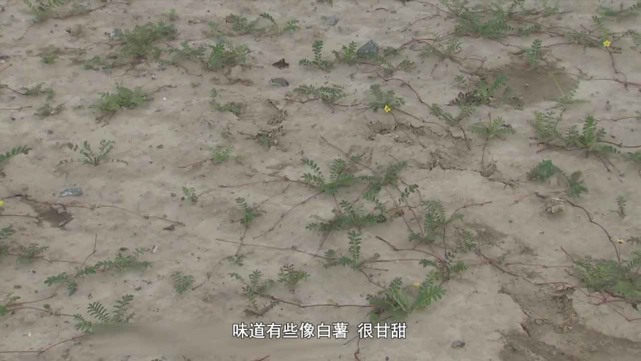云丹科普苑（19.04.24）