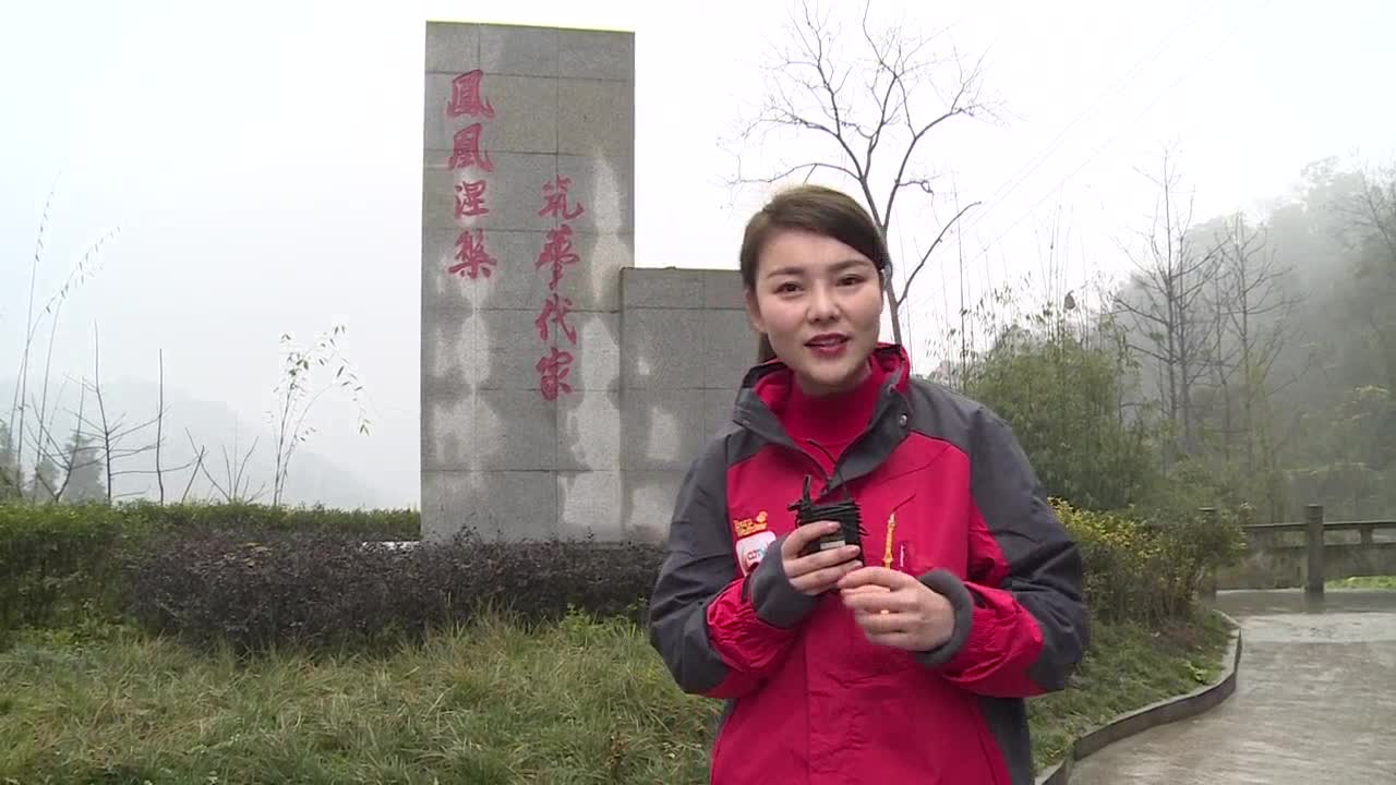【四川主播邊界行】代家村的“最后一公里”