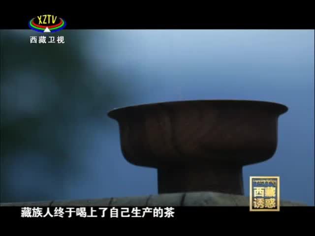 《西藏誘惑》高原茶谷