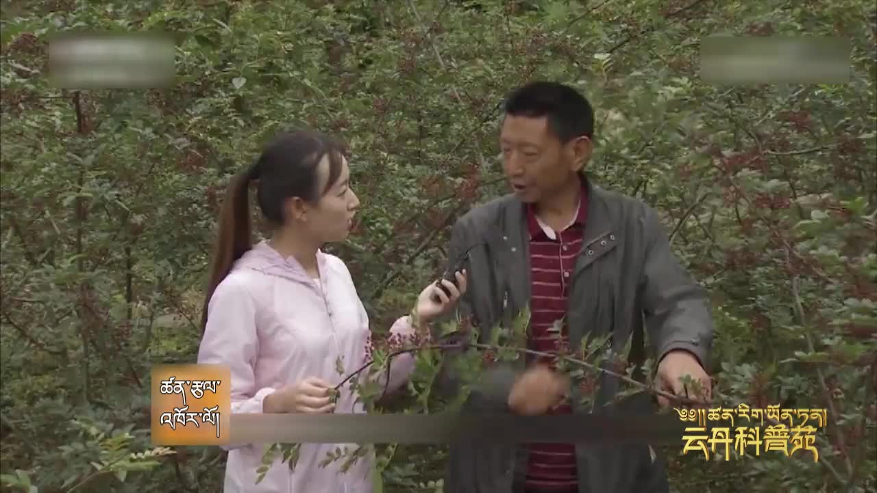 云丹科普苑(19.04.03)