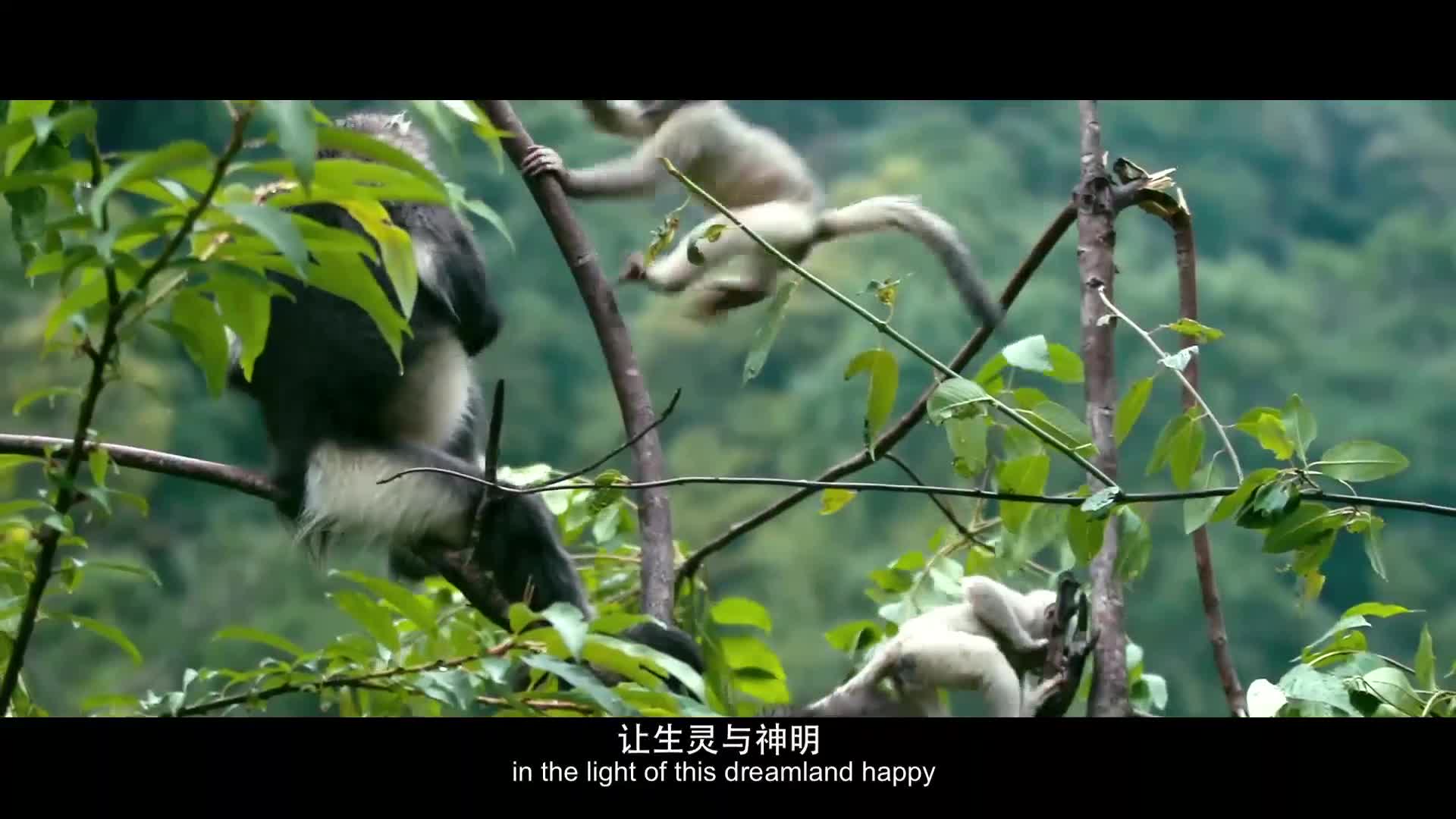 “世界的香格里拉”走進(jìn)華中旅游推介會宣傳片