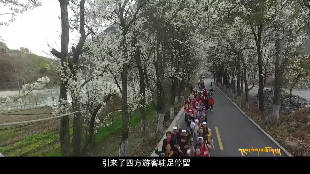 雪域高原（19.03.31）