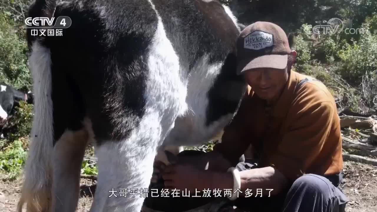 《路見西藏》第二集 故鄉(xiāng)之歌
