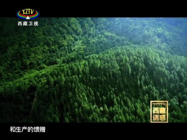 《西藏誘惑》手藝匠心
