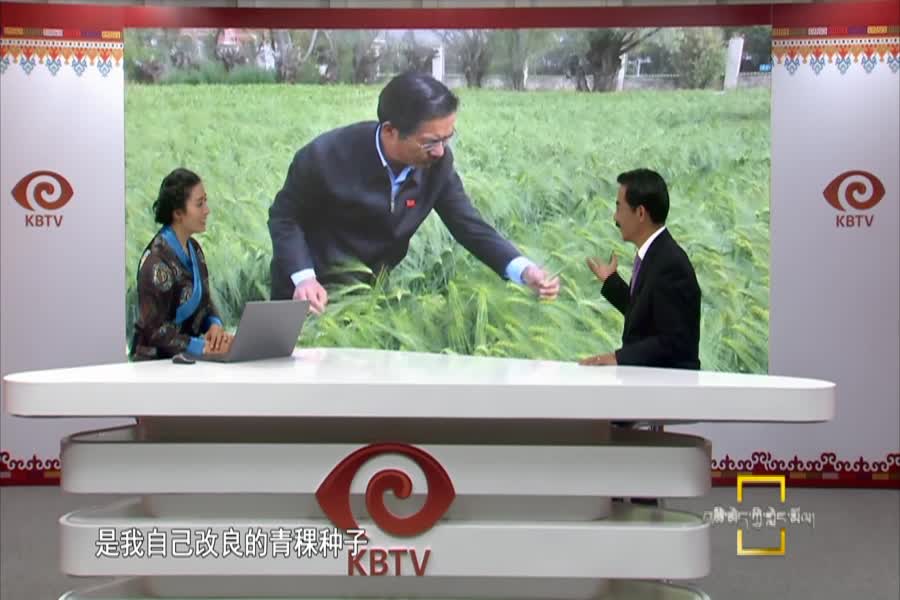 我为西藏代言——青稞