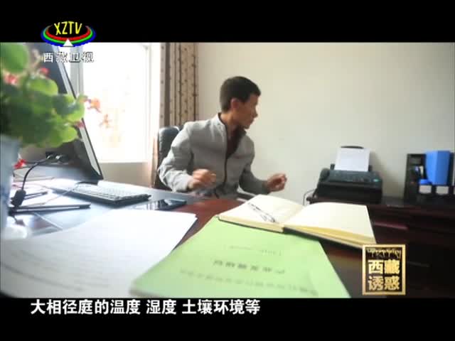 《西藏誘惑》紅河谷的春天