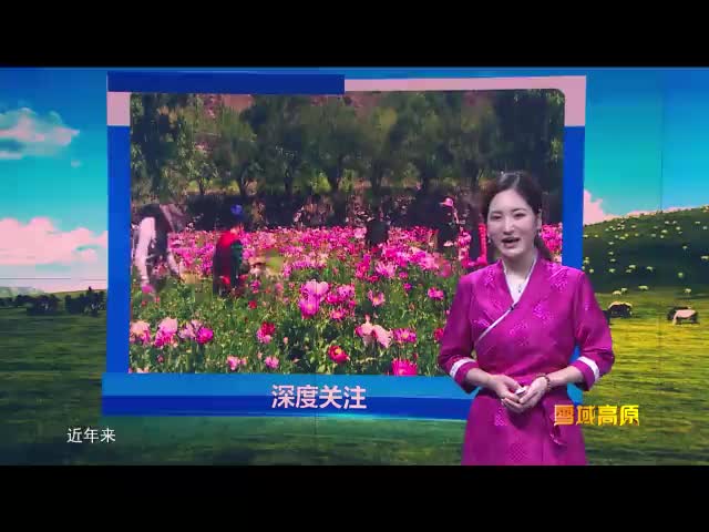 雪域高原（19.05.19）