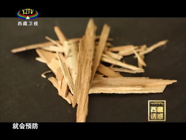 《西藏誘惑》飄香索蓋村
