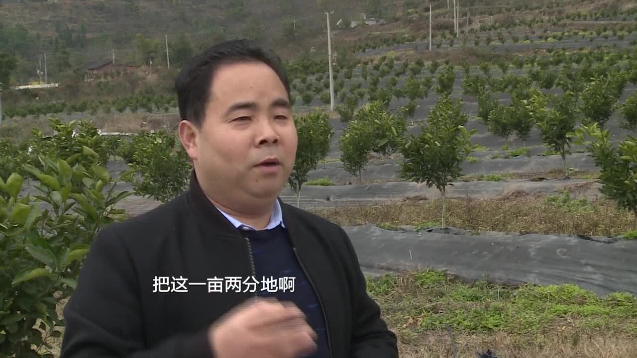 【四川主播邊界行】赤水河畔 彝鄉新生（下）