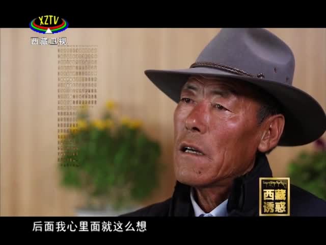 《西藏誘惑》雅江邊的植樹人