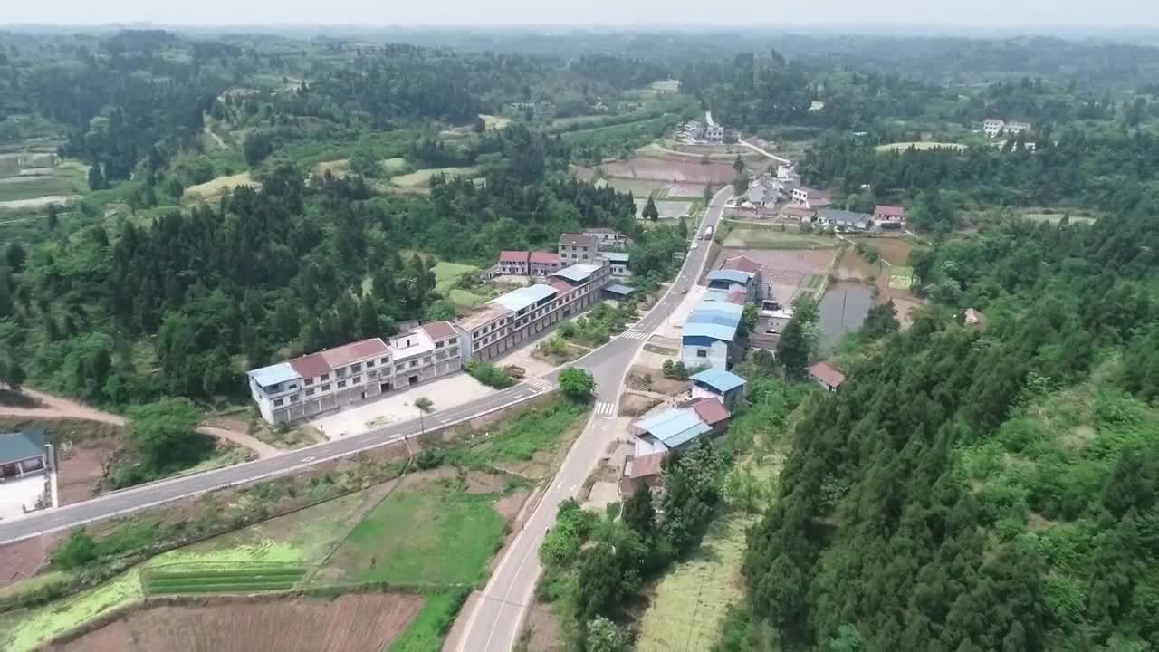 【四川主播邊界行】遂寧市安居區磨溪鎮板倉村：驕傲的村支書（上）