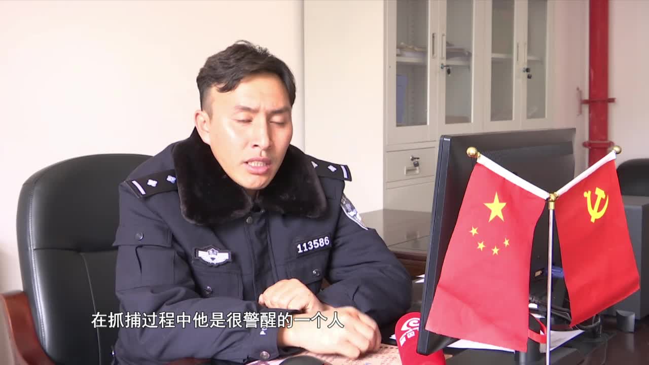 蟲草被盜之后（19.05.09）
