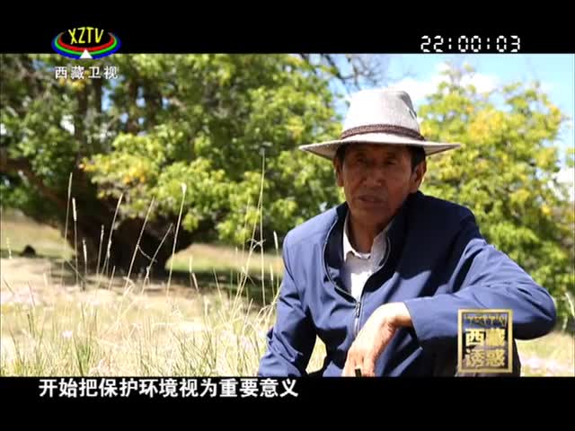 《西藏誘惑》核桃樹下胡達(dá)村