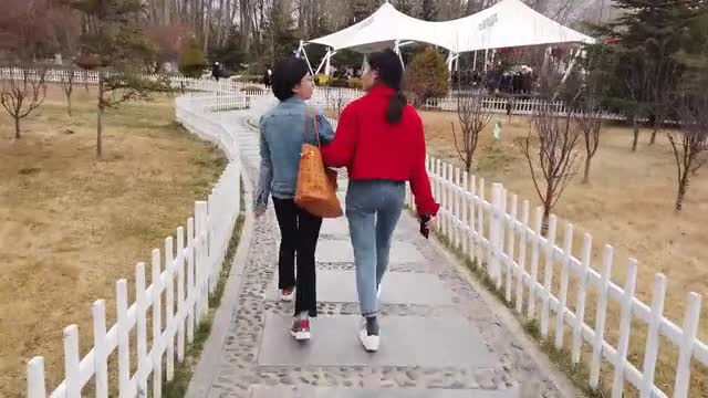 藏語小百科：舞蹈