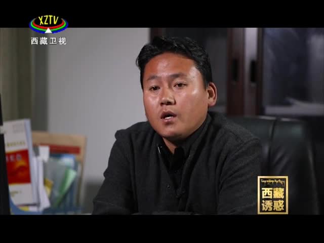 《西藏誘惑》春風(fēng)里的白朗