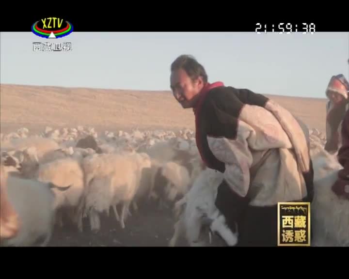 《西藏誘惑》鹽羊古道的體驗