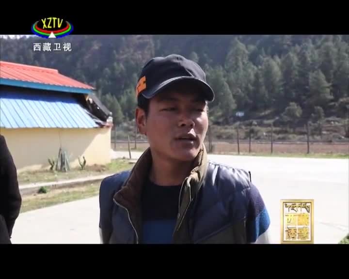 《西藏誘惑》布巴新村的變遷