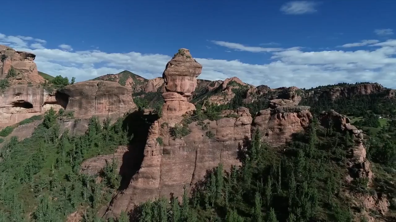 Plant Wings on Dreams