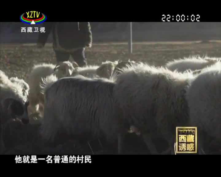 《西藏誘惑》湘巴藏戲