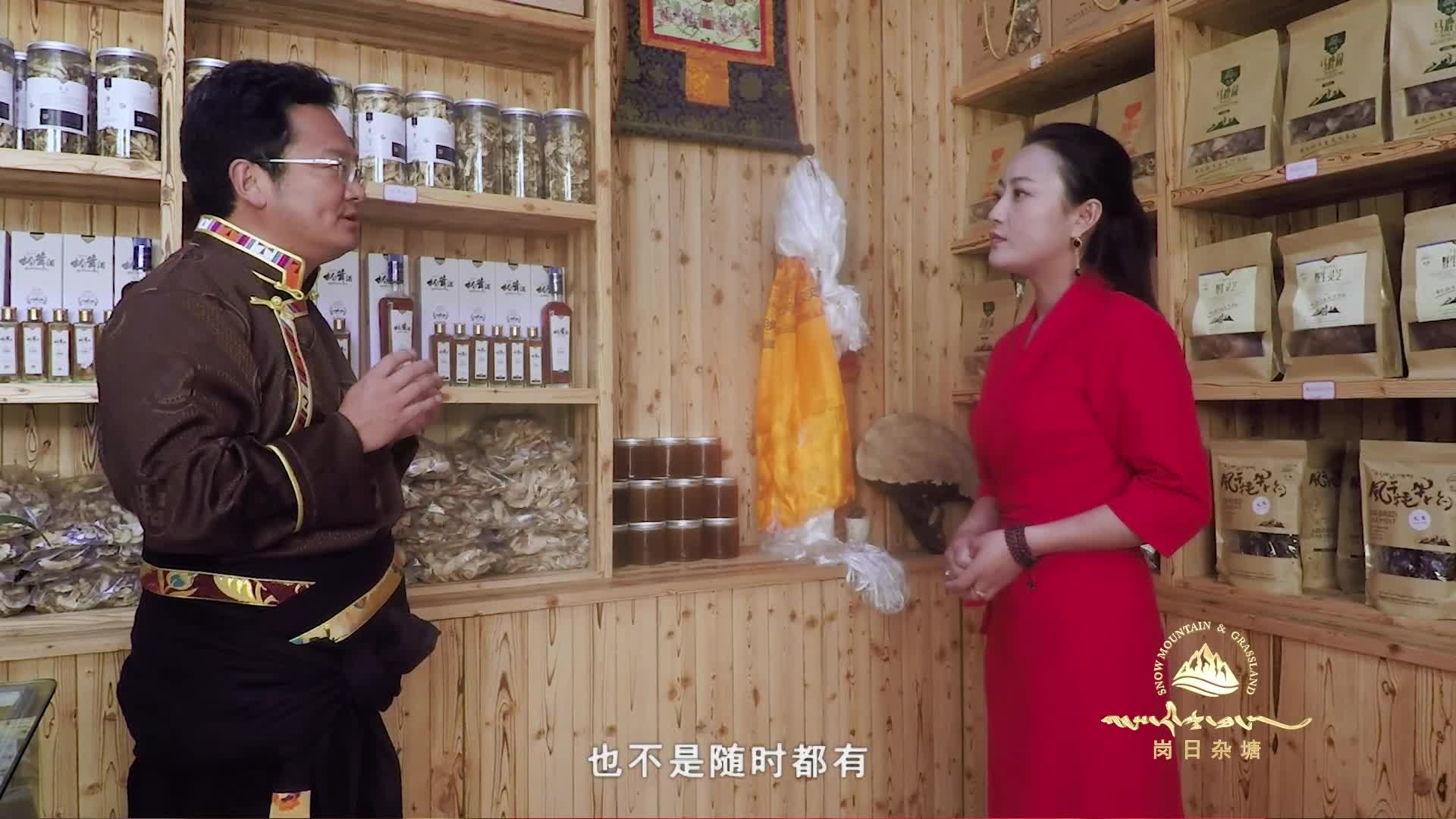 格桑啦：木里香巴拉酒店创始人旦珠偏初
