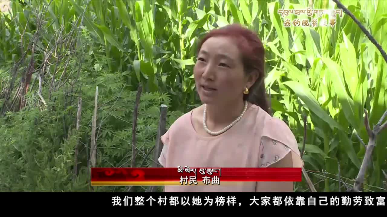 康巴衛(wèi)視新聞（19.08.05）