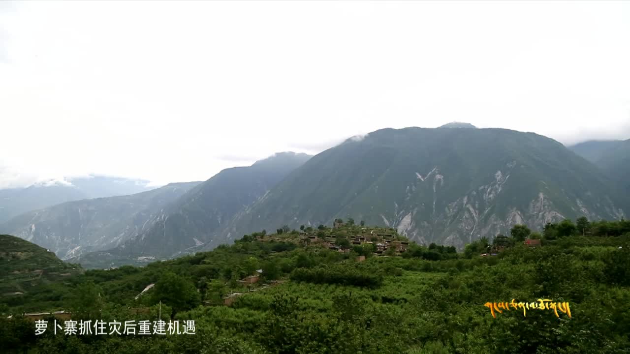 《雪域高原》汶川：美麗鄉(xiāng)村致富夢